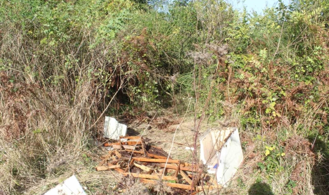 Şehir merkezine inen ayı bir araya topladığı kovanlardaki balı yedi