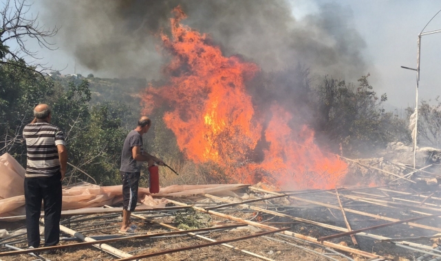 Serada çıkan yangında 10 dönüm makilik alan yandı