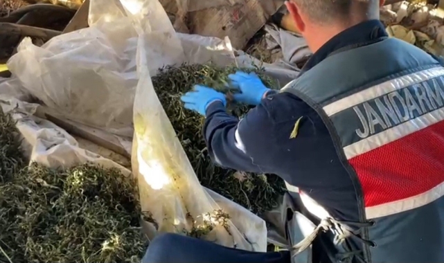 Serentiyi uyuşturucu imalathanesine çevirmiş: 23 kiloya yakın uyuşturucu ele geçirildi
