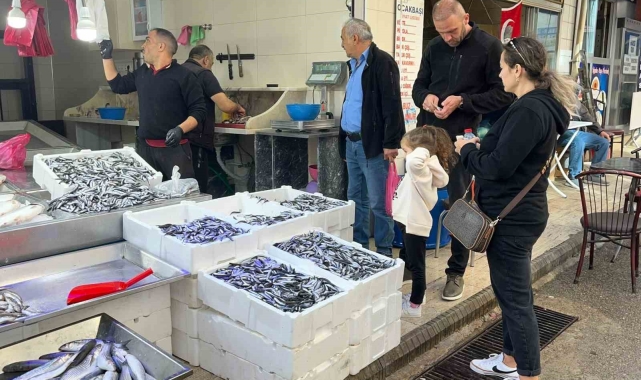 Sinop hamsisi azaldı: Kilosu 60 lira
