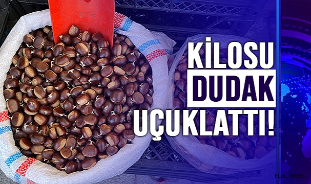SİNOP KESTANESİ TEZGAHLARDA