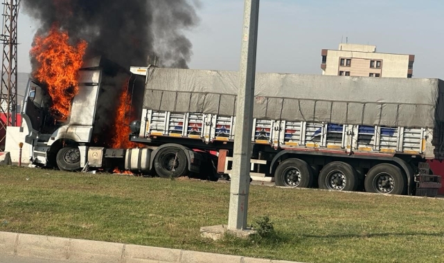 Şırnak'ta freni boşalan kömür yüklü kamyon bariyerlere çarparak yandı