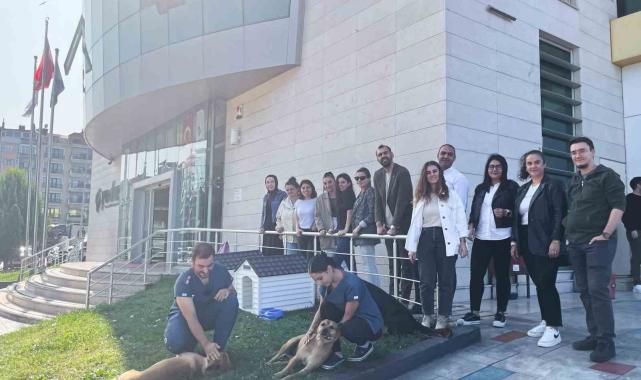Sokak hayvanlarına yuva
