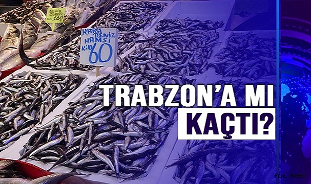 TEZGÂHLARA İNDİ!
