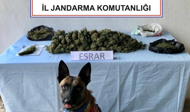 Uyuşturucu operasyonunda 3 gözaltı