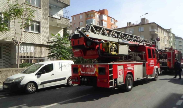 Yangında onlarca güvercin telef oldu