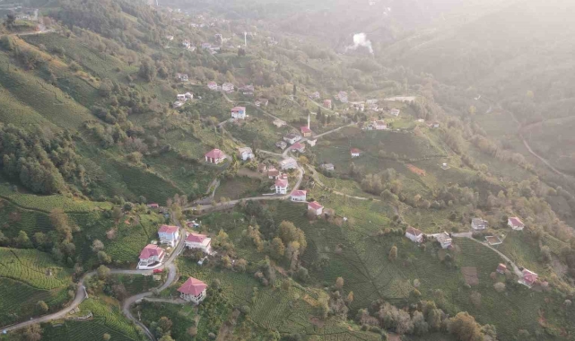 3 mahalle arasında kalan köy 'doğalgaz' umuduyla mahalle olabilmek için referanduma gidiyor