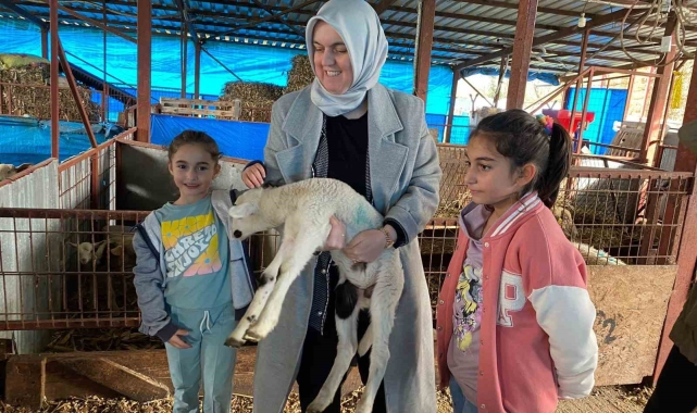 37 küçükbaş ile başladı şimdi 135 ulaştı