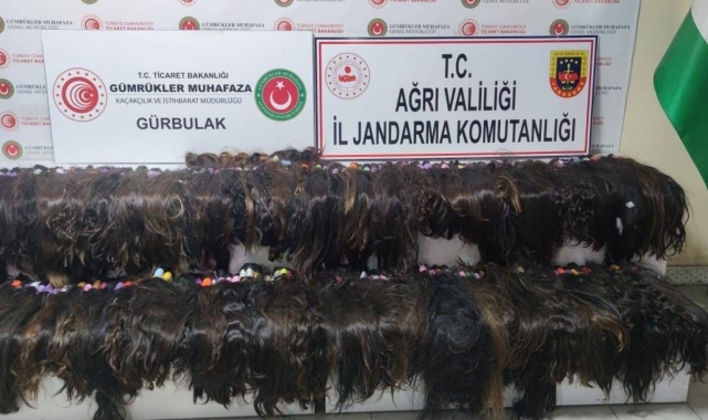 663 bin lira değerinde insan saçı yakalandı