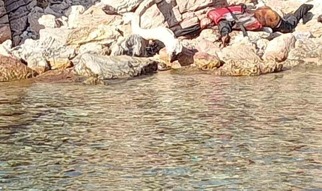 Adada cesetle karşılaştılar