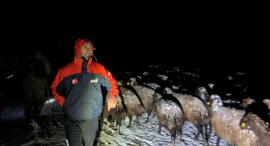 Ağrı'da mahsur kalan 3 çoban ve 3 bin koyun kurtarıldı