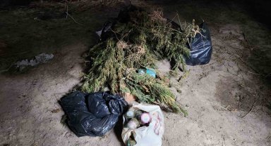 Ahşap baraka içerisinde ve çevresinde 22 kilo esrar ile 425 kök kenevir ele geçirildi