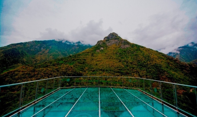 Artvin'de cam terastan düşen kadın hayatını kaybetti