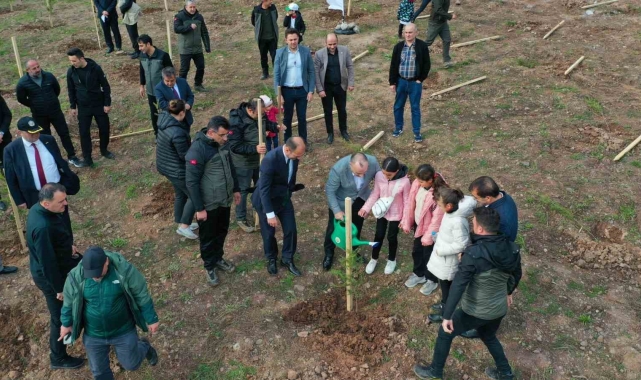 Artvin'de 'Milli Ağaçlandırma Günü' etkinlikleri kapsamında 100 bin adet fidan toprakla buluşturuldu