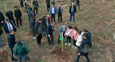 Artvin'de 'Milli Ağaçlandırma Günü' etkinlikleri kapsamında 100 bin adet fidan toprakla buluşturuldu