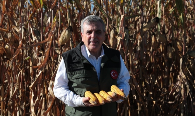 Atık su gübresi yüksek rekolte getirdi