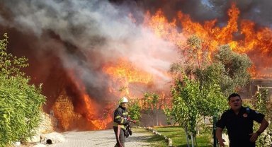 Aydın ve Muğla'da 819 hektar alan yandı