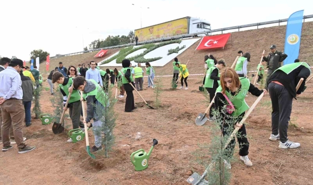 Aydın'da 2 bin 23 mavi servi fidanı toprakla buluştu
