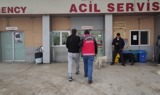 Balıkesir Emniyeti tüm birimleriyle operasyon yaptı