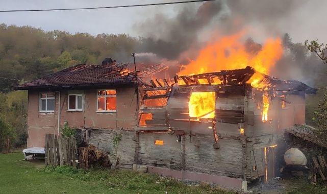 Bartın'da çıkan yangında 2 ev kül oldu