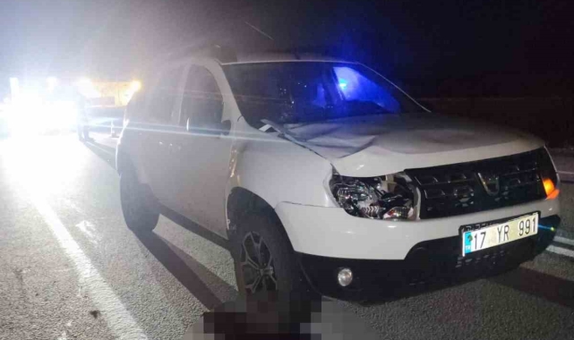 Bayramiç'te otomobilin çarptığı yaya hayatını kaybetti