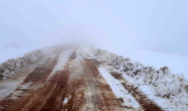 Bingöl'de 2 bin 500 rakımlı tepe beyaza büründü