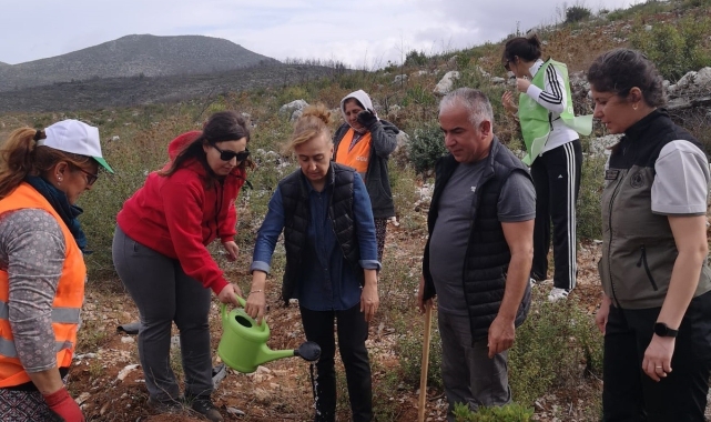 Bodrum'da 10 bin fidan toprakla buluştu