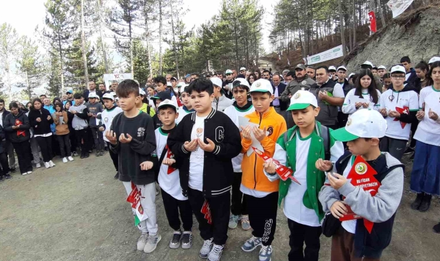 Bolu'da 83 farklı noktada 50 bin adet fidan dikildi