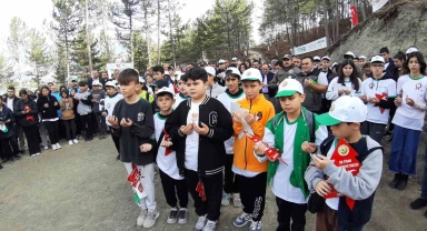 Bolu'da 83 farklı noktada 50 bin adet fidan dikildi