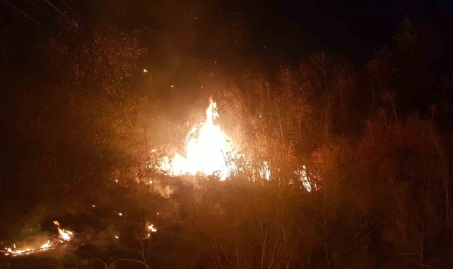 Boş arazide çıkan örtü yangını itfaiye tarafından söndürüldü