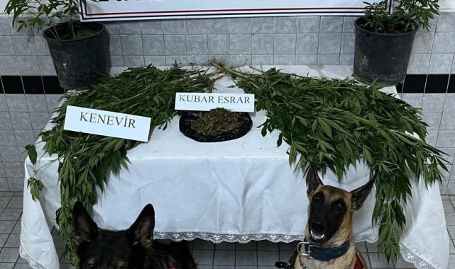 Buharkent&#039;te uyuşturucu operasyonu: 1 gözaltı