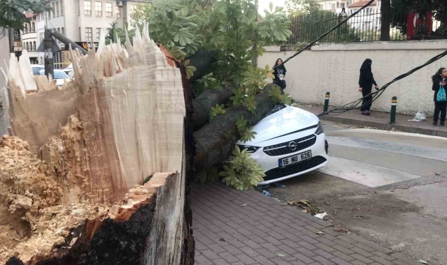 Bursa'da lodos hayatı felç etti
