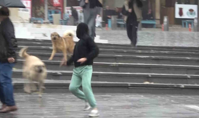 Bursa'da sağanak yağış etkili oldu, yarın kar geliyor