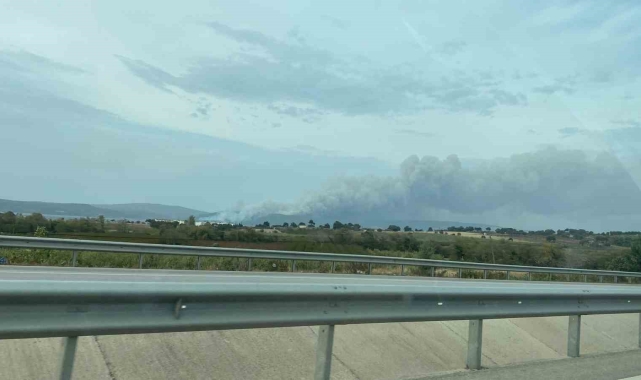 Çanakkale'de orman yangını