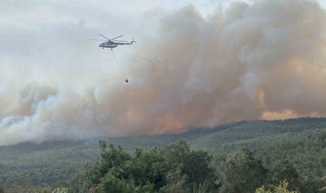 Çanakkale'de orman yangını...Bir köy boşaltıldı