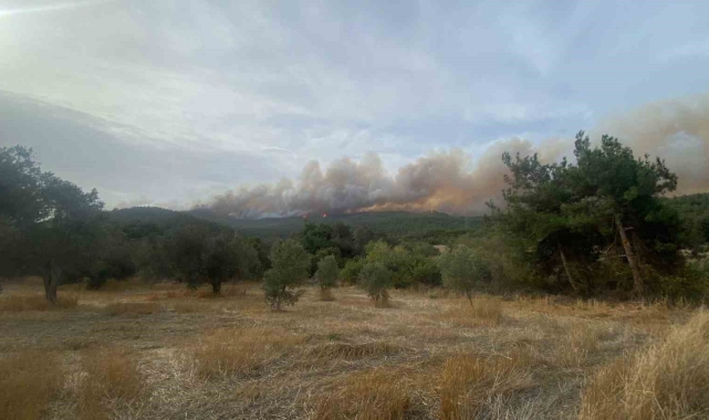 Çanakkale'deki orman yangını devam ediyor
