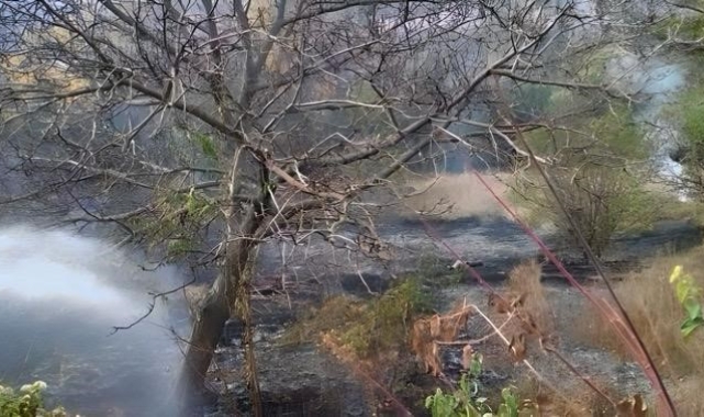 Çankırı&#039;da çıkan arazi yangını kısa sürede söndürüldü