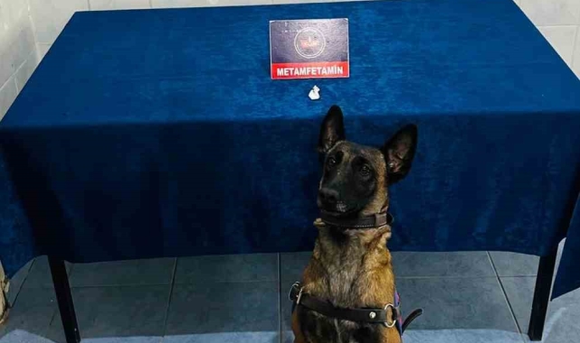 Çankırı'da uyuşturucu operasyonu: 1 gözaltı