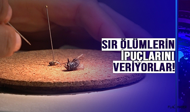 CESEDİN SIRRINI ONLAR ÇÖZÜYOR!