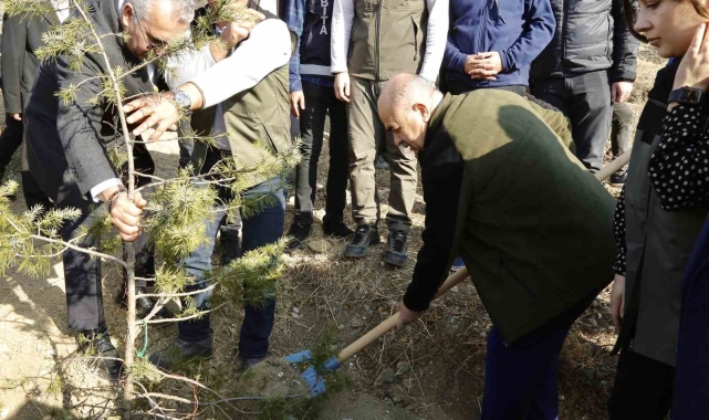 Çorum Valisi Dağlı, "20 yılda 94 milyon fidanı toprakla buluşturduk"
