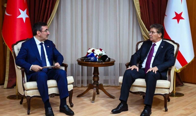 Cumhurbaşkanı Yardımcısı Yılmaz, KKTC Başbakanı Üstel ile bir araya geldi
