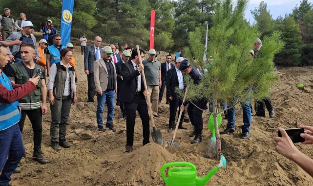 Cumhuriyete Nefes etkinliğinde binlerce fidan toprakla buluştu