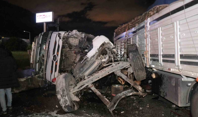 D-650'de tekeri patlayan tır karşı şeride geçti: Faciadan dönüldü