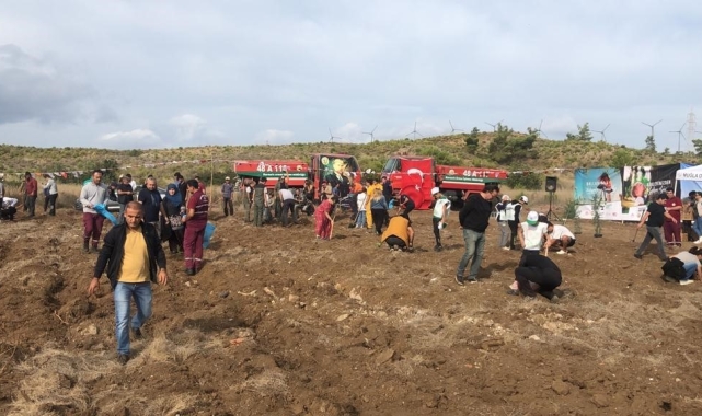 Datça'da bin 200 fidan toprakla buluştu