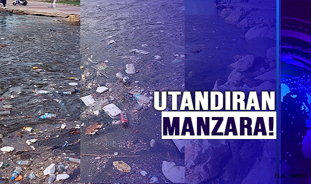 DENİZ PİSLİĞİ DIŞA VURDU!