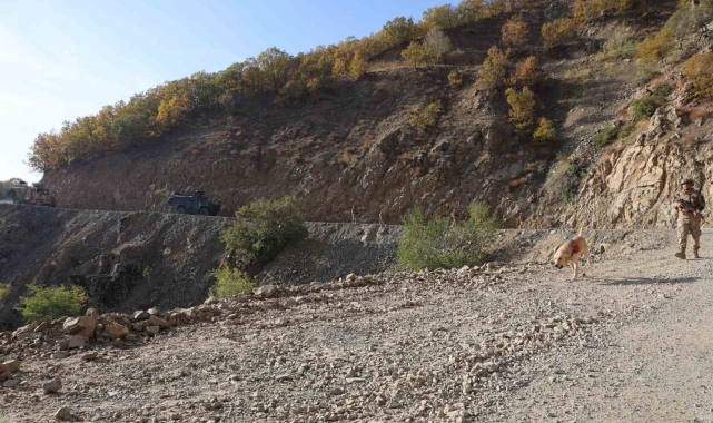 Diyarbakır'da 5 taburdan oluşan timler Lice'de terör operasyonuna çıktı