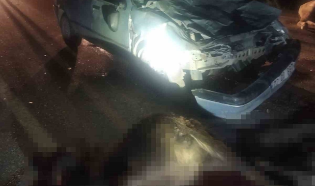 Diyarbakır'da otomobil mandalara çarptı: 2 kişi yaralandı, 3 manda telef oldu