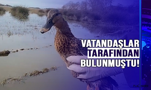 DOĞAYA SALINDI!