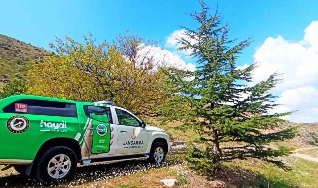 Durdurulan araçtan ölü kuşlar çıktı, araç sahibine 71 bin ceza yazıldı