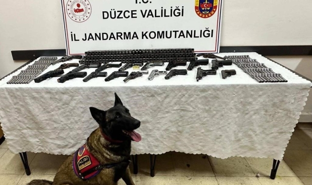 Düzce'de kaçak silah operasyonu